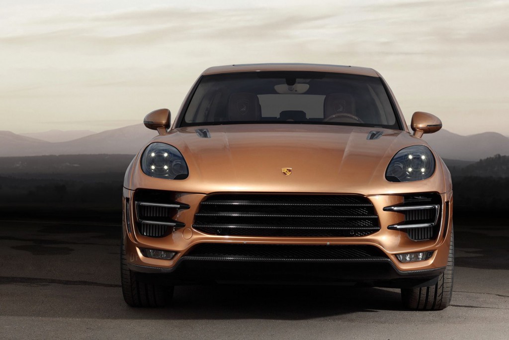 macan-ursa-by-topcar-has-gold-colored-carbon-fiber-and-wood-interior-photo-gallery_15