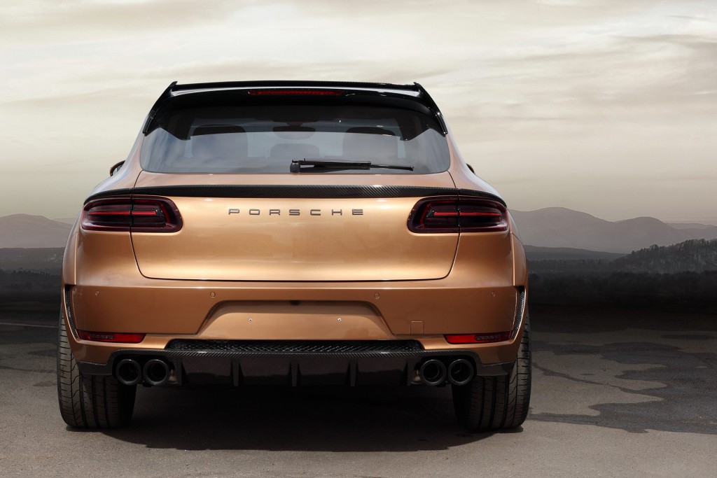 macan-ursa-by-topcar-has-gold-colored-carbon-fiber-and-wood-interior-photo-gallery_3